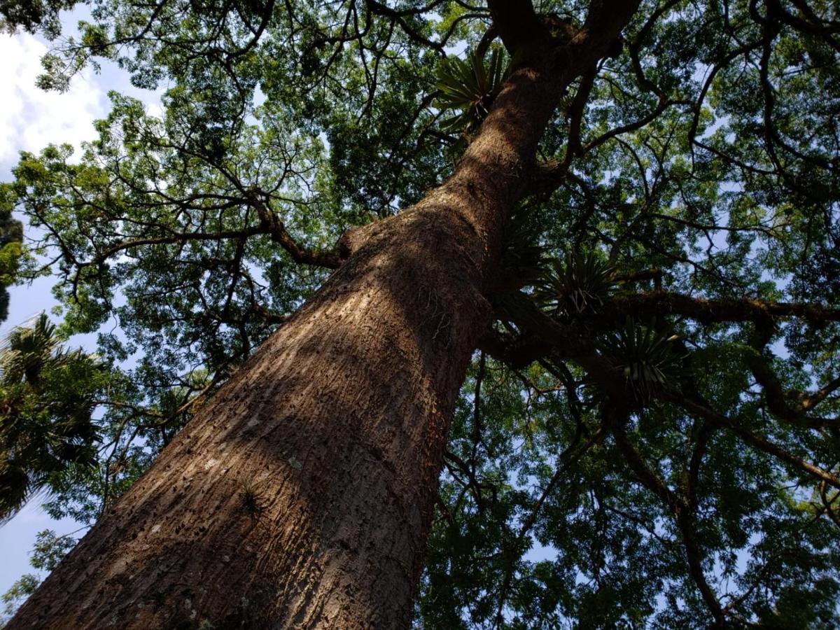 Vila Casa Fazenda Inglesa - Anexo Petrópolis Exteriér fotografie